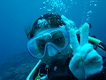 20120418-5.jpg