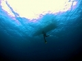 20120420-2.jpg