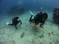 20120420-3.jpg