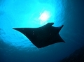 20120420-5.jpg