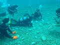 20120421-3.jpg