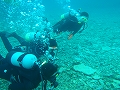 20120421-5.jpg