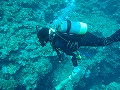 20120421-6.jpg