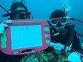 20120421-7.jpg