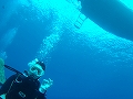 20120422-3.jpg