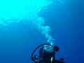 20120422-4.jpg