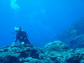 20120422-6.jpg