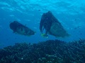 20120424-3.jpg