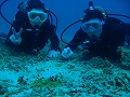 20120427-6.jpg