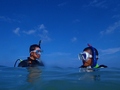 20120502ow-2.jpg