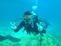 20120502ow-4.jpg