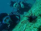 20120503-6.jpg