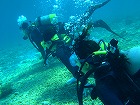 20120504-4.jpg