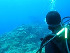 20120508-3.jpg