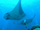 20120508-4.jpg
