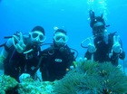 20120509e-10.jpg