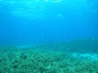 20120509e-11.jpg