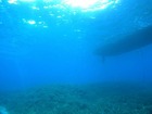 20120509e-7.jpg