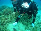 20120509e-8.jpg