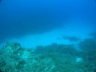 20120509e-9.jpg