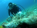 20120512-3-400.jpg