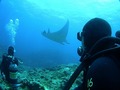 20120512-5-400.jpg