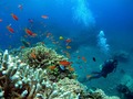 20120513-4-400.jpg