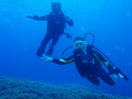20120514-2.jpg