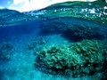 20120515u-12.jpg