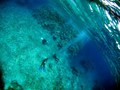 20120515u-5.jpg