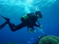 20120515u-7.jpg