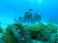 20120516-4.jpg