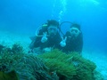 20120516-5.jpg
