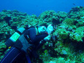 20120517-2.jpg