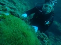 20120518-2.jpg