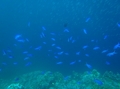 20120518-4.jpg