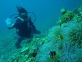 20120519-5.jpg