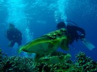 420120505aow-.jpg