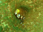 620120505aow-.jpg