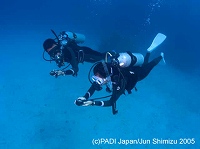 �г�������ӥ󥰥饤����NEWS�����ƥåץ��åץ����ڡ���������Ĺ