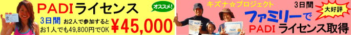 �г���ǥ����ӥ󥰥饤���󥹼�����