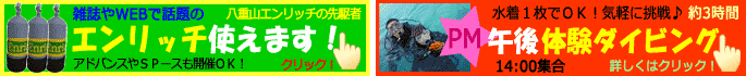 石垣島でエンリッチ使えます
