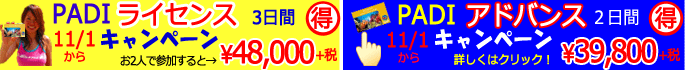 石垣島でPADIダイビングライセンスを取得