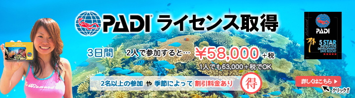 PADIライセンス取得スクール