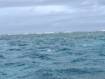 昨日の午後より海は再開しているものの・・・☆2026/09/07