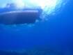 ようやく海水面の荒れ模様も収束してきたか☆2026/09/23
